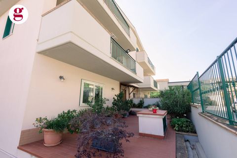 Villa i Vasto, Chieti, Vasto - € 379.000 | Ref: IM202633 - foto 5