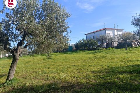 Villa a Vasto, Chieti, Vasto - € 590.000 | Ref: IM202636 - foto 6