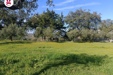 Villa a Vasto, Chieti, Vasto - € 590.000 | Ref: IM202636 - foto 7