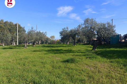 Villa a Vasto, Chieti, Vasto - € 590.000 | Ref: IM202636 - foto 8