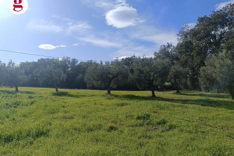 Villa a Vasto, Chieti, Vasto - € 590.000 | Ref: IM202636 - foto 9