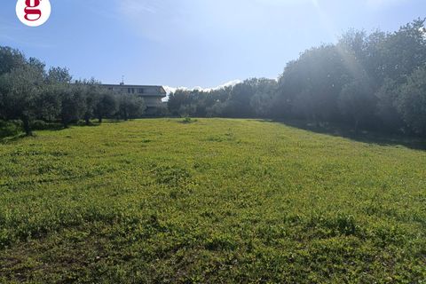 Villa a Vasto, Chieti, Vasto - € 590.000 | Ref: IM202636 - foto 10