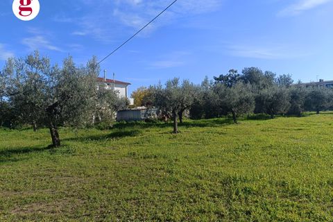 Villa a Vasto, Chieti, Vasto - € 590.000 | Ref: IM202636 - foto 11
