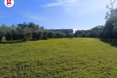 Villa a Vasto, Chieti, Vasto - € 590.000 | Ref: IM202636 - foto 12
