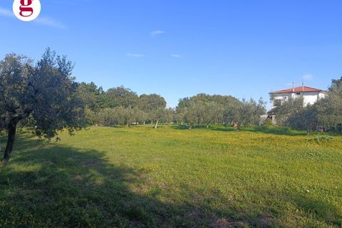 Villa a Vasto, Chieti, Vasto - € 590.000 | Ref: IM202636 - foto 13