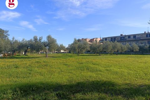 Villa a Vasto, Chieti, Vasto - € 590.000 | Ref: IM202636 - foto 14