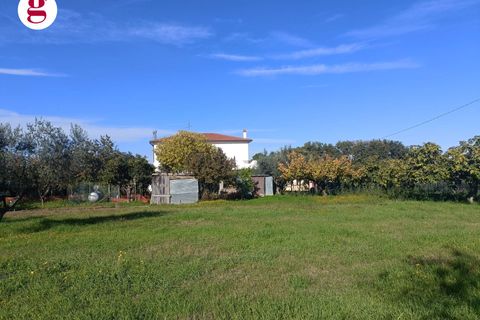 Villa a Vasto, Chieti, Vasto - € 590.000 | Ref: IM202636 - foto 15