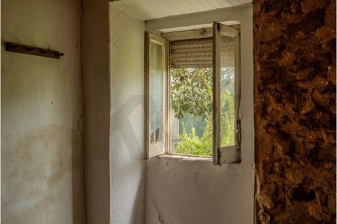 Villa i Cadaval, Lisbon, Cadaval - € 76.700 | Ref: KWPT-033420 - foto 24