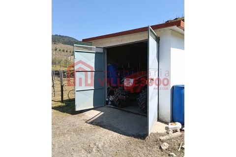Farm i Vila Real, Vila Real, Vila Real - € 170.000 | Ref: FIN_511 - foto 11