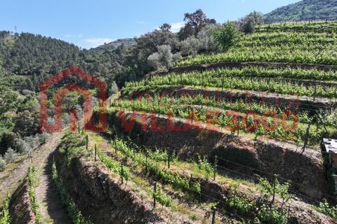Farm i Vila Real, Vila Real, Vila Real - € 170.000 | Ref: FIN_511 - foto 15
