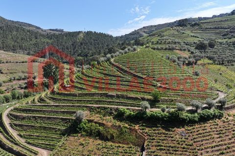 Farm i Vila Real, Vila Real, Vila Real - € 170.000 | Ref: FIN_511 - foto 17