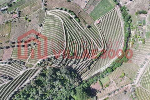 Farm i Vila Real, Vila Real, Vila Real - € 170.000 | Ref: FIN_511 - foto 18