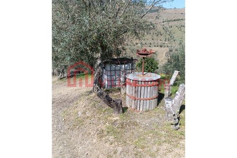Farm i Vila Real, Vila Real, Vila Real - € 170.000 | Ref: FIN_511 - foto 19