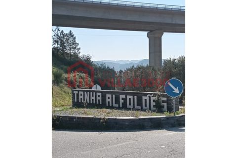 Farm i Vila Real, Vila Real, Vila Real - € 170.000 | Ref: FIN_511 - foto 20