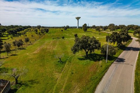Helårsgrund i Coruche, Santarem, Coruche - € 225.000 | Ref: KWPT-032540 - foto 13
