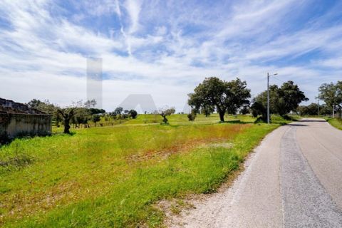 Helårsgrund i Coruche, Santarem, Coruche - € 225.000 | Ref: KWPT-032540 - foto 14