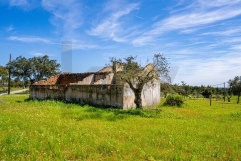 Helårsgrund i Coruche, Santarem, Coruche - € 225.000 | Ref: KWPT-032540 - foto 15