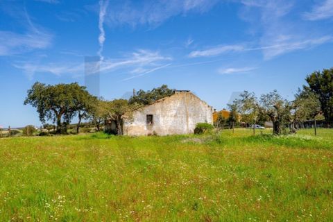 Helårsgrund i Coruche, Santarem, Coruche - € 225.000 | Ref: KWPT-032540 - foto 16