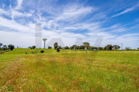 Helårsgrund i Coruche, Santarem, Coruche - € 225.000 | Ref: KWPT-032540 - foto 17
