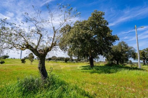 Helårsgrund i Coruche, Santarem, Coruche - € 225.000 | Ref: KWPT-032540 - foto 18