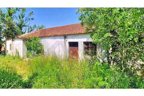 Villa i Tomar, Santarem, Tomar - € 56.500 | Ref: KWPT-032639 - foto 3