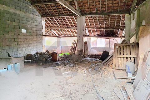 Villa i Tomar, Santarem, Tomar - € 56.500 | Ref: KWPT-032639 - foto 4