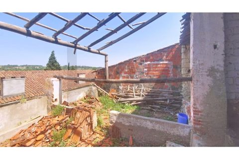 Villa i Tomar, Santarem, Tomar - € 56.500 | Ref: KWPT-032639 - foto 20
