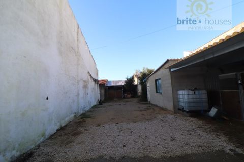 Villa i Golega, Santarem, Golega - € 160.000 | Ref: Mu321 - foto 3