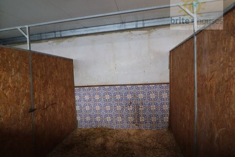 Villa i Golega, Santarem, Golega - € 160.000 | Ref: Mu321 - foto 5