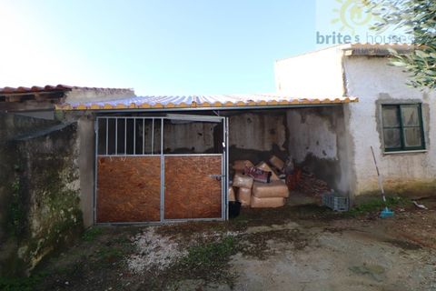 Villa i Golega, Santarem, Golega - € 160.000 | Ref: Mu321 - foto 8