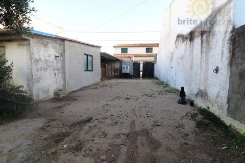 Villa i Golega, Santarem, Golega - € 160.000 | Ref: Mu321 - foto 9