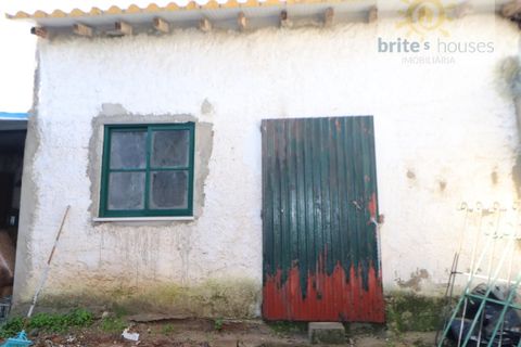 Villa i Golega, Santarem, Golega - € 160.000 | Ref: Mu321 - foto 10