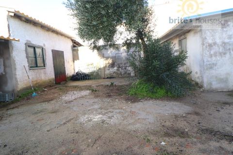 Villa i Golega, Santarem, Golega - € 160.000 | Ref: Mu321 - foto 11