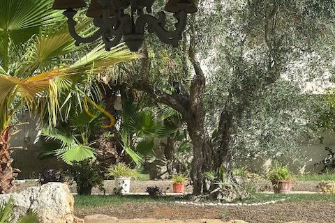 Villa a Bari, Bari, Bari - € 1.300/mes | Ref: AA2607 - foto 14