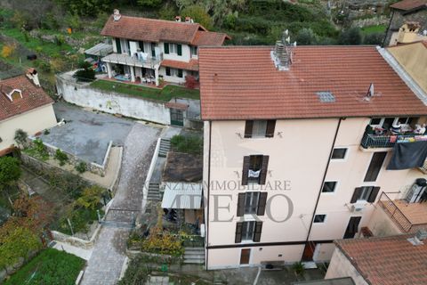 Lejlighed i Ventimiglia, Imperia, Ventimiglia - € 77.000 | Ref: 23943 - foto 25