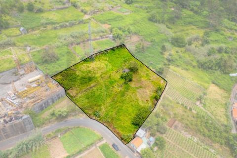 Helårsgrund i Ponta do Sol, Madeira, Ponta do Sol - € 180.000 | Ref: KWPT-033209 - foto 10