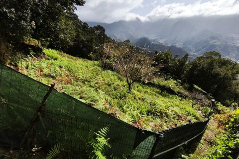 Helårsgrund i Sao Vincente, Madeira, Sao Vincente - € 130.000 | Ref: KWPT-028783 - foto 5