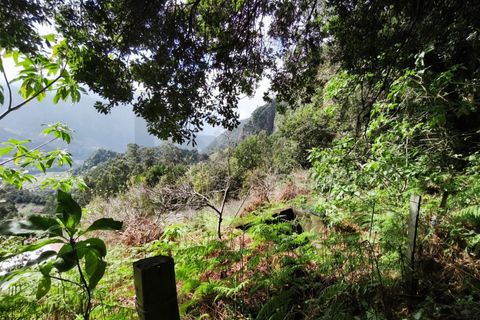 Helårsgrund i Sao Vincente, Madeira, Sao Vincente - € 130.000 | Ref: KWPT-028783 - foto 9