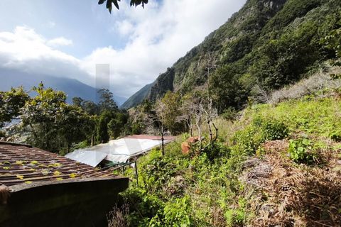 Helårsgrund i Sao Vincente, Madeira, Sao Vincente - € 130.000 | Ref: KWPT-028783 - foto 10