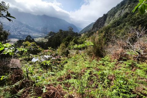 Helårsgrund i Sao Vincente, Madeira, Sao Vincente - € 130.000 | Ref: KWPT-028783 - foto 11