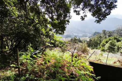 Helårsgrund i Sao Vincente, Madeira, Sao Vincente - € 130.000 | Ref: KWPT-028783 - foto 14