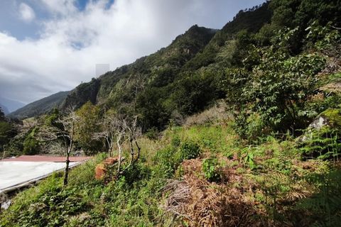 Helårsgrund i Sao Vincente, Madeira, Sao Vincente - € 130.000 | Ref: KWPT-028783 - foto 16