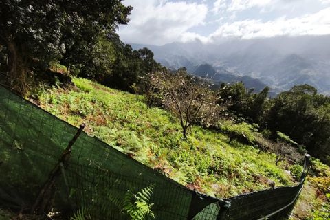 Helårsgrund i Sao Vincente, Madeira, Sao Vincente - € 130.000 | Ref: KWPT-028783 - foto 19