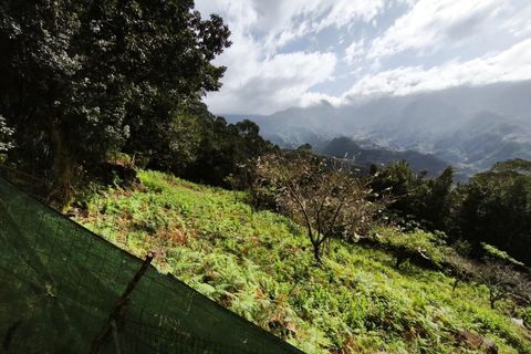 Helårsgrund i Sao Vincente, Madeira, Sao Vincente - € 130.000 | Ref: KWPT-028783 - foto 21
