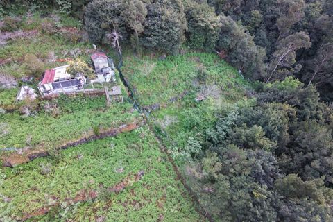 Helårsgrund i Sao Vincente, Madeira, Sao Vincente - € 130.000 | Ref: KWPT-028783 - foto 22