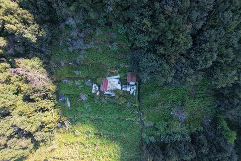 Helårsgrund i Sao Vincente, Madeira, Sao Vincente - € 130.000 | Ref: KWPT-028783 - foto 24