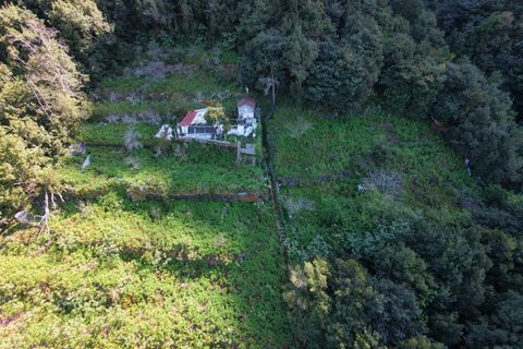 Helårsgrund i Sao Vincente, Madeira, Sao Vincente - € 130.000 | Ref: KWPT-028783 - foto 25