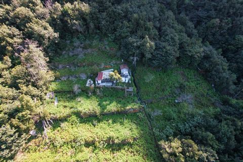 Helårsgrund i Sao Vincente, Madeira, Sao Vincente - € 130.000 | Ref: KWPT-028783 - foto 26
