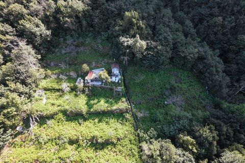 Helårsgrund i Sao Vincente, Madeira, Sao Vincente - € 130.000 | Ref: KWPT-028783 - foto 27