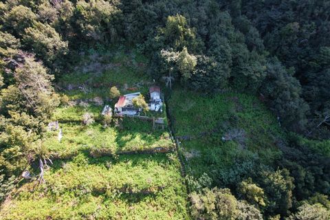 Helårsgrund i Sao Vincente, Madeira, Sao Vincente - € 130.000 | Ref: KWPT-028783 - foto 28